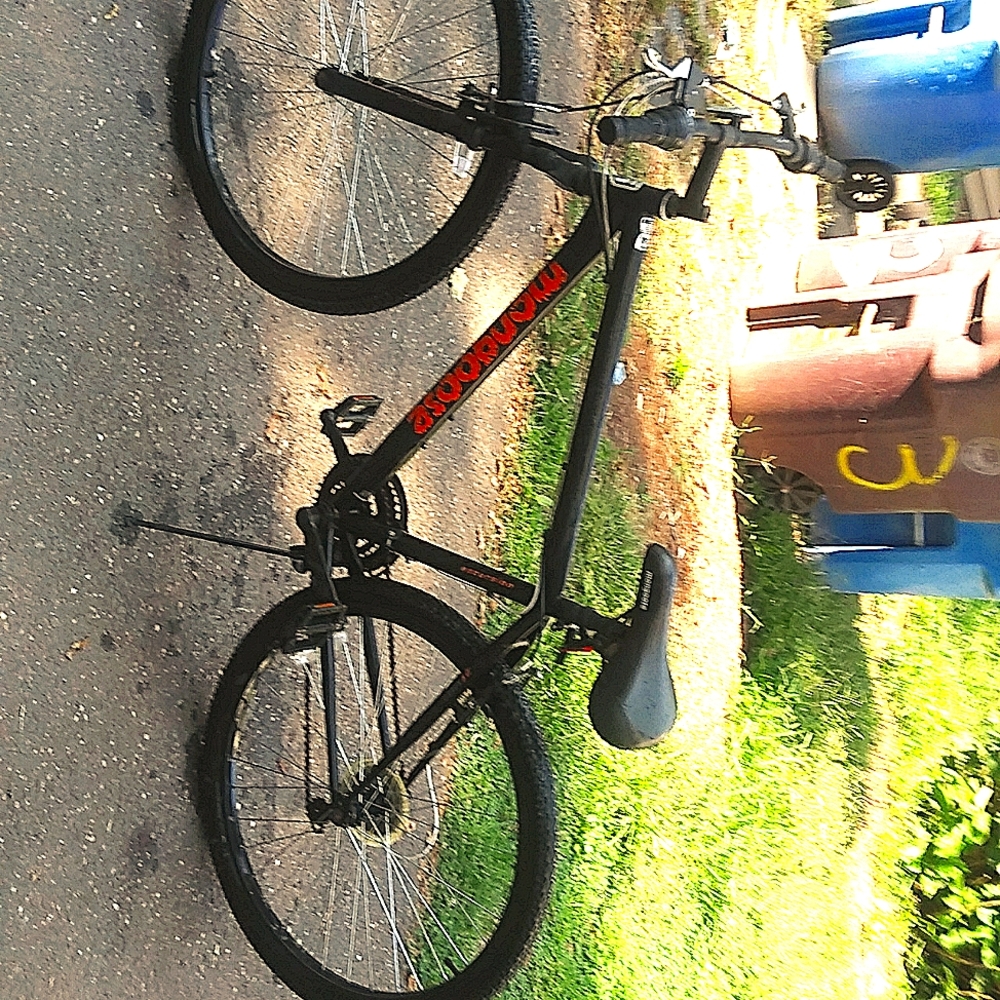 Mongoose bike